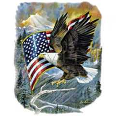 American Freedom Eagle Painting Black Stadium Blankets